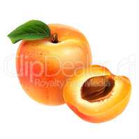 Apricot on white background