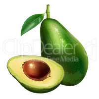 Avocado on white background