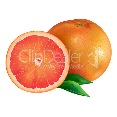 Grapefruit on white background