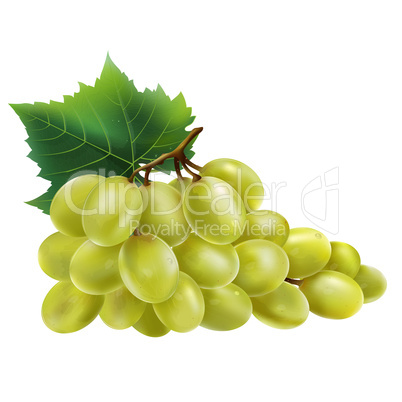 White grapes on white background