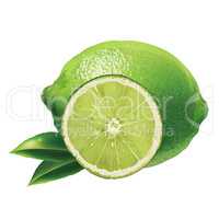 Lime on white background