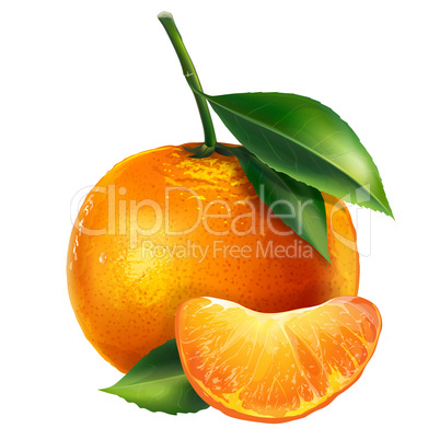 Mandarin on white background