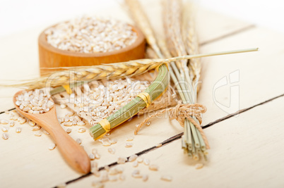 organic barley grains