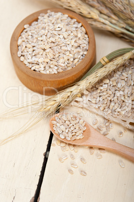 organic wheat grains