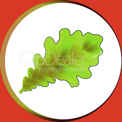 Oak leaf. Brown-green oak leaf, volume, on an orange background.