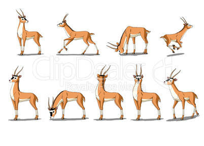 Antelope Gazelle  Image Isolated on White Background