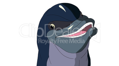 Smiling Dolphin Image Isolated on White Background
