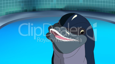 Smiling Dolphin.