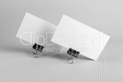 Blank business cards