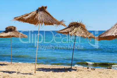 Beach umbrellas
