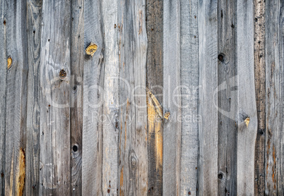 Wood texture