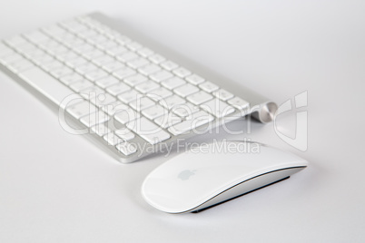 the Apple keyboard and mouse