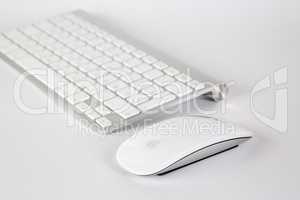 the Apple keyboard and mouse