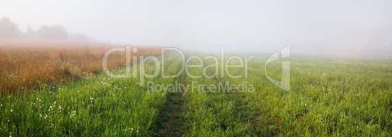 Foggy meadow at morning