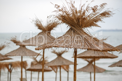 Group of straw umbrellas