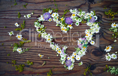 Heart made of flowers