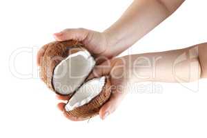 Coconut in hands