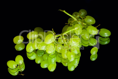 Green grapes on black