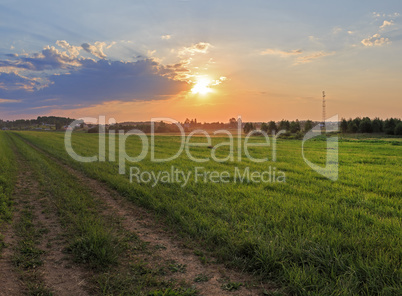 Meadow at sunset