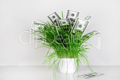 Dollars in grass