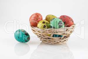 Quail eggs in a basket