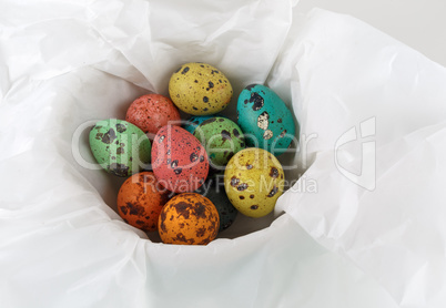 Colored quail eggs