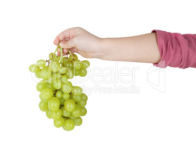 Bunch of grapes in hand