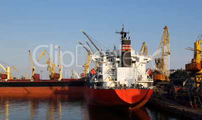 Cargo ship in the port