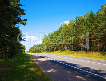 Road through the forest