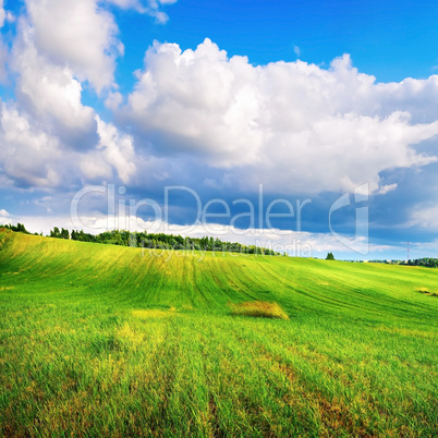 Green grass and cloudy sky