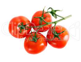 Ripe  tomatoes on white background