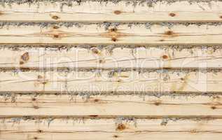 Wooden logs texture