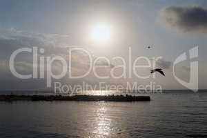 Silhouette of a pier at dawn