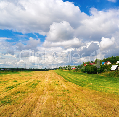 Field of cut grass