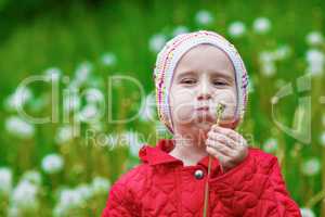 Baby blowing dandelion
