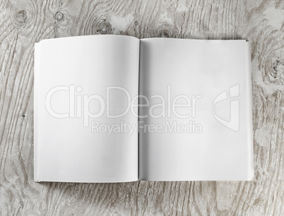 Blank opened book