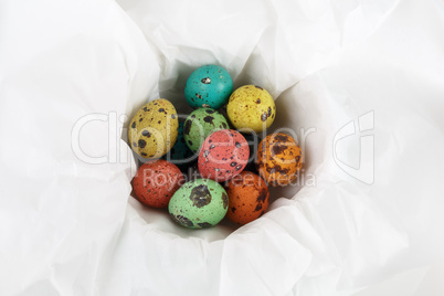 Painted quail eggs