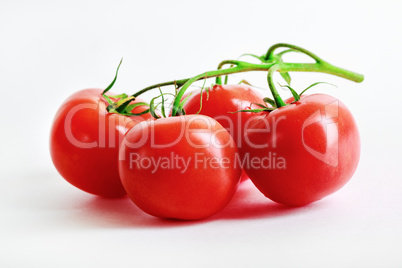 Delicious fresh tomatoes