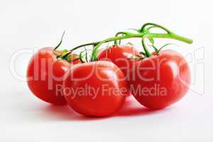 Delicious fresh tomatoes