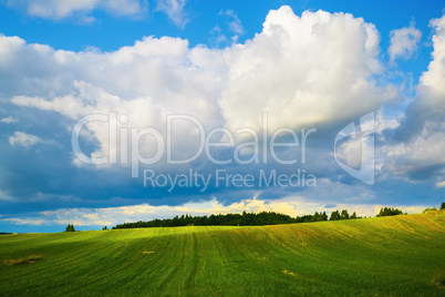 Blue sky and green field