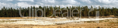 Pine forest and sand pit