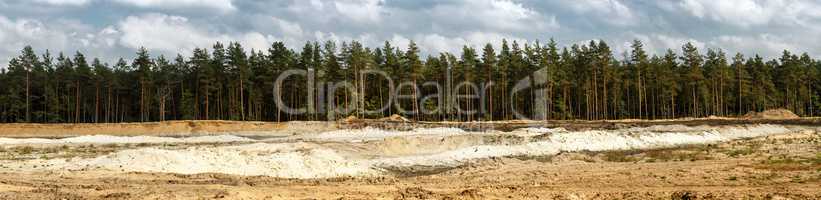 Pine forest and sand pit