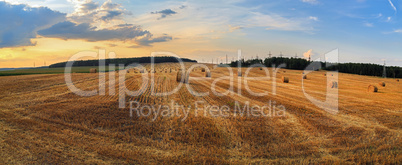 Straw bales