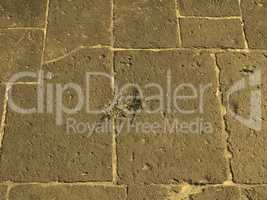 Roman floor sepia