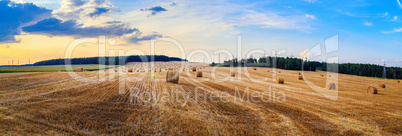 Hay bales on field