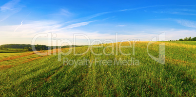 Panoramic rural landscape