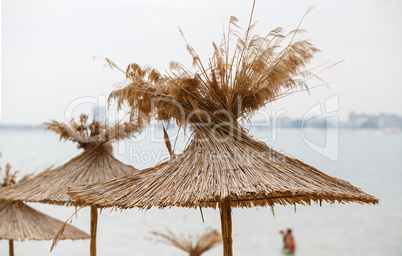 Beach umbrellas on a background of the cloudless sky