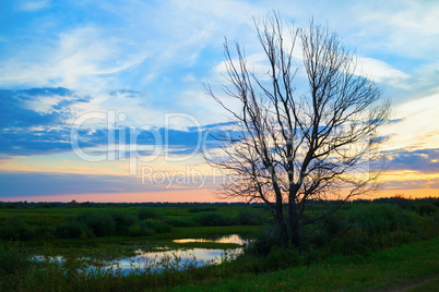 Sunset in the countryside