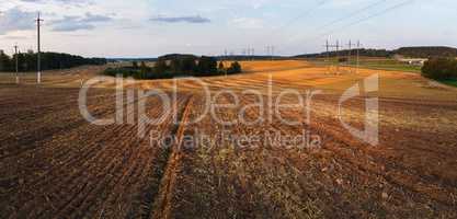 Field after harvest