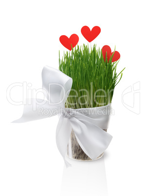 Pot with grass and paper hearts